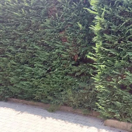 Apartman Iliria Durrës